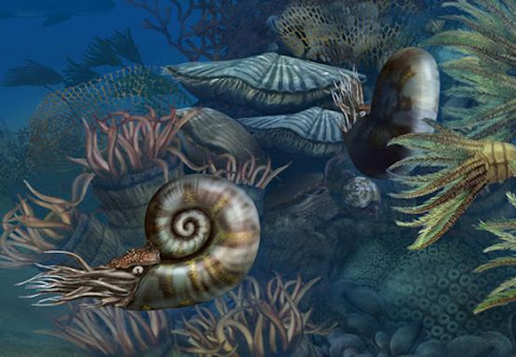 La biodiversidad oceánica es constante hace cientos de millones de años