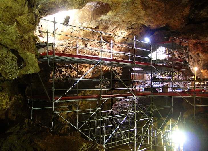 Un estudio revela la dieta del primate fósil Theropithecus oswaldi descubierto en Cueva Victoria