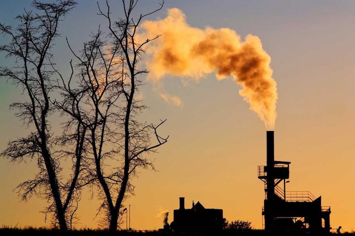 La contaminación provoca demencia y enfermedades cardiovasculares