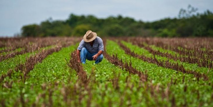 ‘Pico y Pala’ para impulsar la agricultura y ganadería cero emisiones