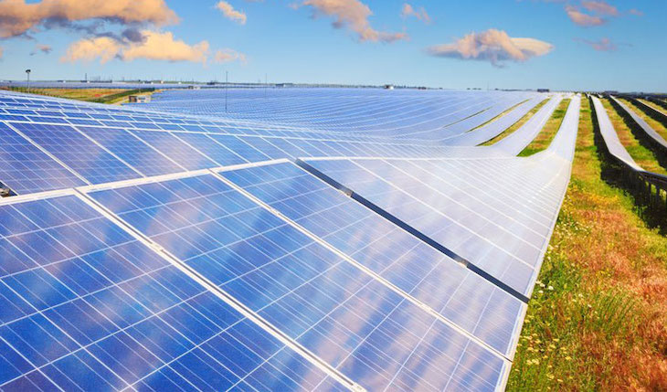 El proyecto para la instalación de una planta fotovoltaica en Coín (Málaga) pretende evitar los informes medioambientales