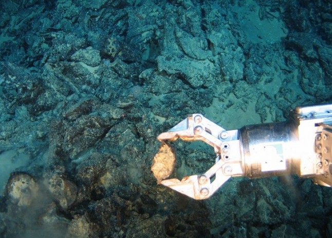Buscando proteger la diversidad biológica del mar profundo de la minería