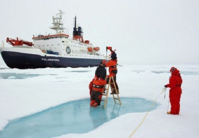 El vital fitoplancton ártico muestra resistencia al cambio climático