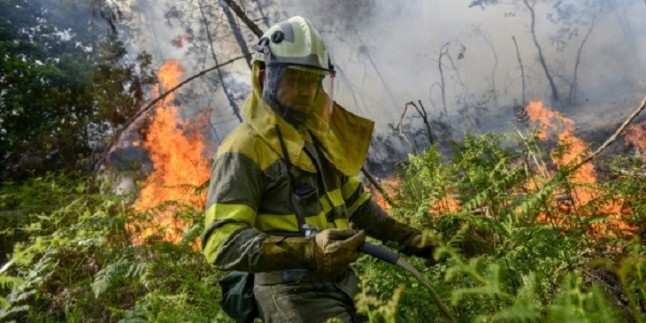 Incendio forestal en Félix (Almería)
