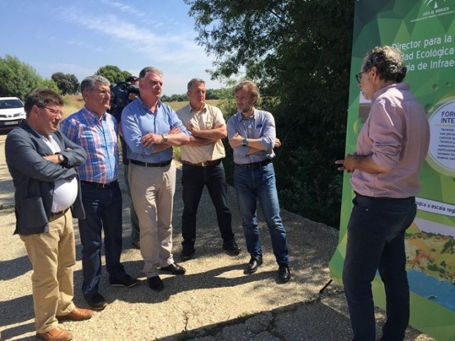 El Plan Director de Conectividad Ecológica andaluz busca frenar la pérdida de biodiversidad