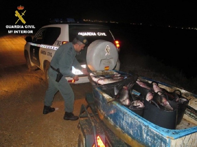 Guardia Civil sorprende a un presunto furtivo con una barca repleta de pescado en el paraje Marismas del Odiel