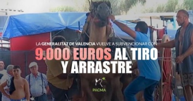 El Gobierno Valenciano ‘PROGRE’ vuelve a destinar 9.000 euros al Tiro y Arrastre