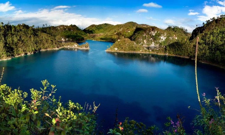 México. Proteger y recuperar los ecosistemas