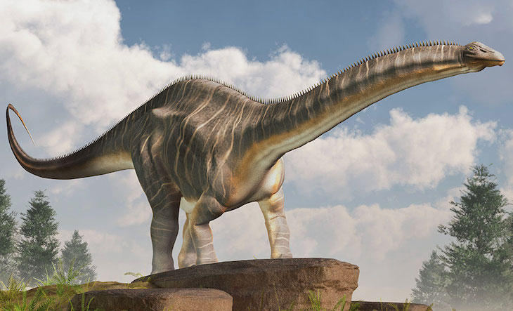 Visión de la evolución en vertebrados mediante los dientes de dinosaurio