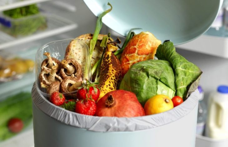 Transición Ecológica y FEMP trasladan una guía de buenas prácticas para la gestión de residuos domésticos