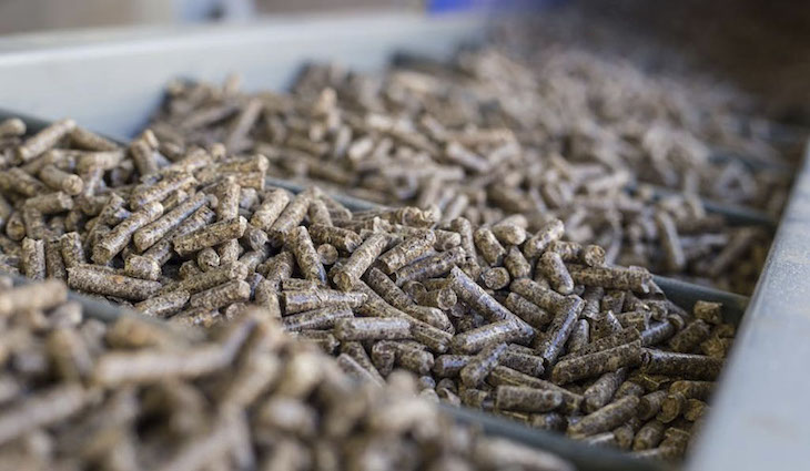 ENplus® espera certificar millones de toneladas de pellet en 2021