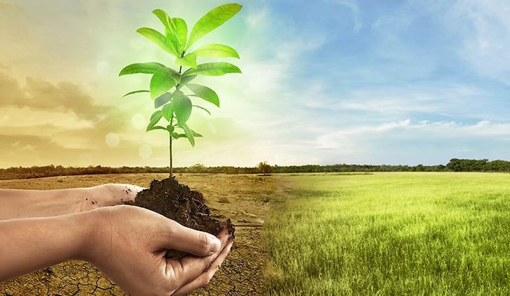 The Climate Reality Project Europe premia mañana a los Bardem