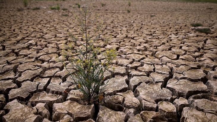Una década ‘perdida’ con el proyecto de ‘ley climática’