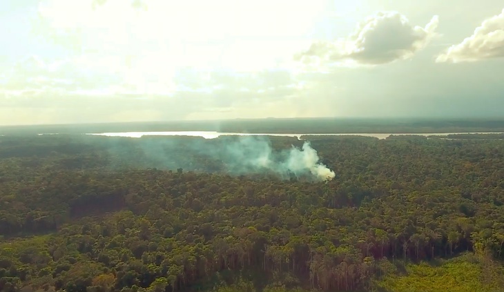Nos cargamos de motivos por los que el medioambiente es y debe ser un derecho humano