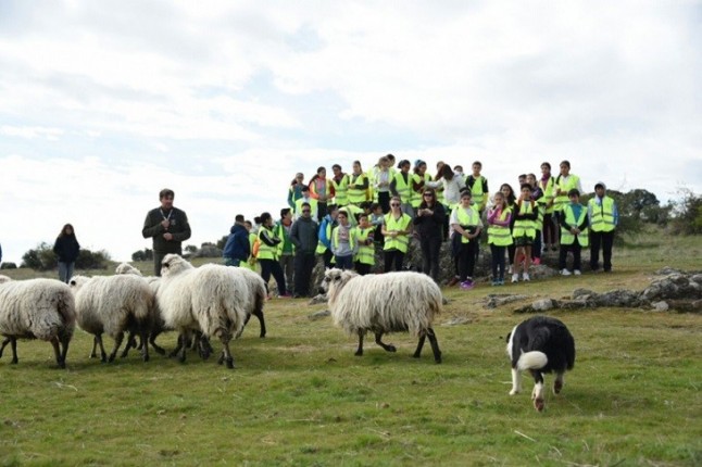 Caminos menos transitados: una nueva iniciativa global para el pastoreo móvil