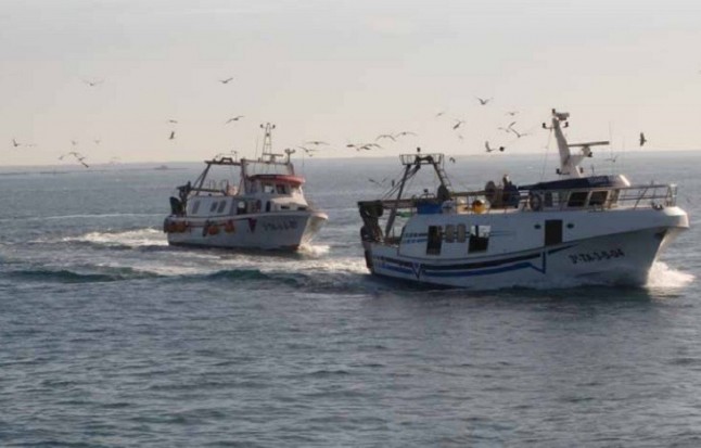 El 80% de crías de aves marinas muere en su primera semana de vida en el mar especialmente en zonas con más pesca ilegal