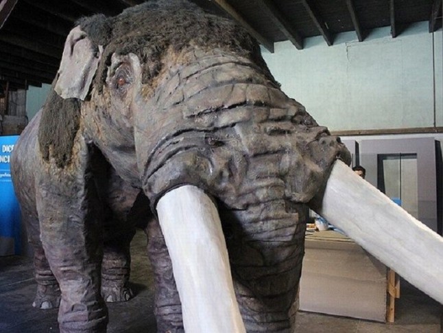 Descartan que los elefantes se extinguieran en Sudamérica por falta de recursos y hábitat