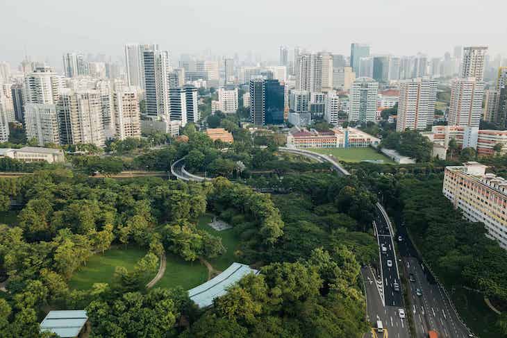 Día Mundial del Medioambiente 2021