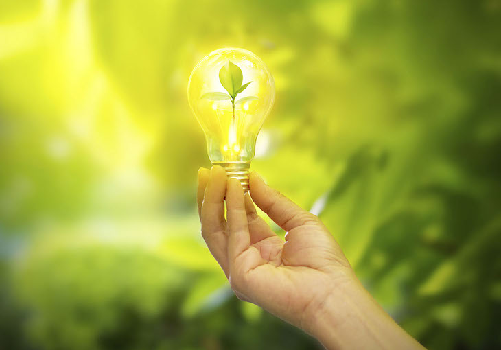 Mallorca coincide con la Alianza por la Emergencia Climática en apostar por la sostenibilidad ambiental