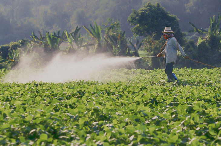 México. Acuerdan Semarnat y Consejo Nacional Agropecuario mesa de trabajo en torno al glifosato