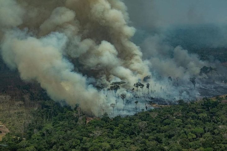 Investigadores alertan de que una zona como tres veces Sao Paulo podría arder este año en la Amazonía