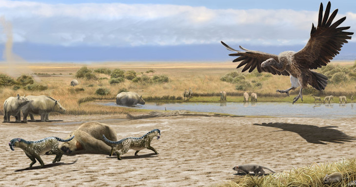 Así interactuaron las especies americanas hace tres millones de años