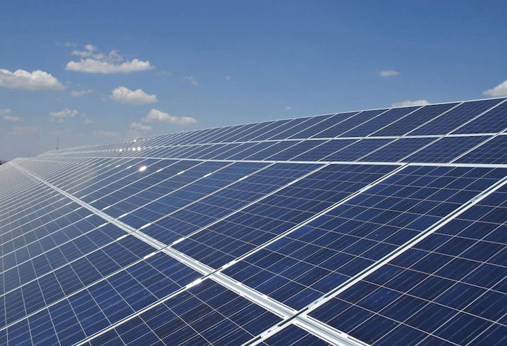 Endesa busca apicultores solares para sus plantas fotovoltaicas de Carmona (Sevilla)