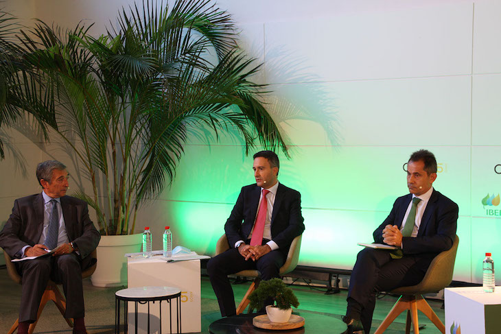 El Comisionado para el Cambio Climático de la Junta afirma que la transición energética será clave en la recuperación pos-COVID19