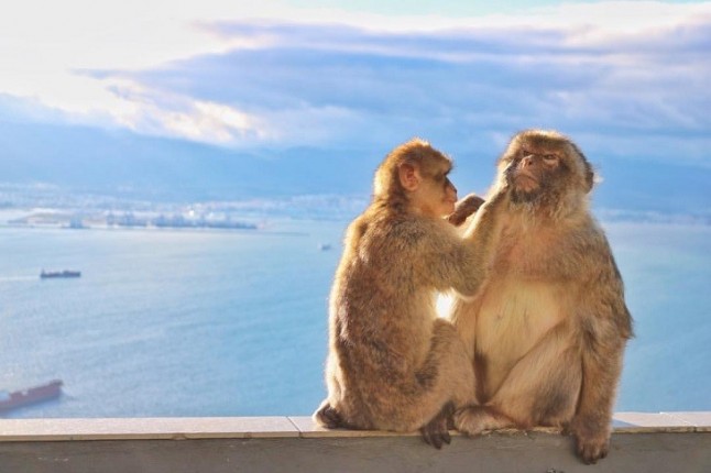 El turismo en Marruecos se cubre de gloria