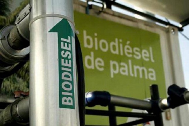 Europa califica el biodiésel de palma como insostenible