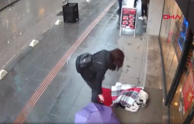 Las cámaras de seguridad captan el gesto que tuvo una mujer con un perro de la calle que se estaba congelando