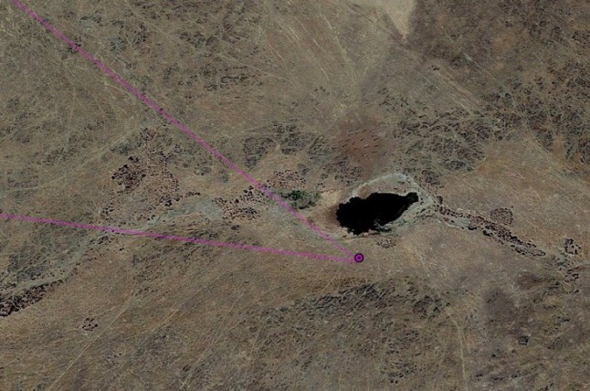 El alimoche Bibei se entretiene en las dehesas extremeñas en su migración de Mauritania a Galicia