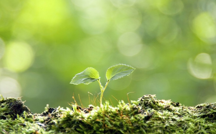 CAMAC es ‘clave’ para impulsar políticas medioambientales en Cantabria