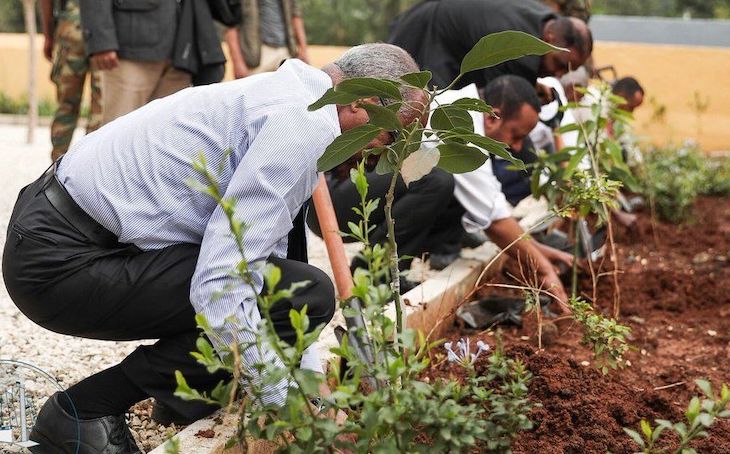 Etiopía reforesta 5.000 millones de árboles