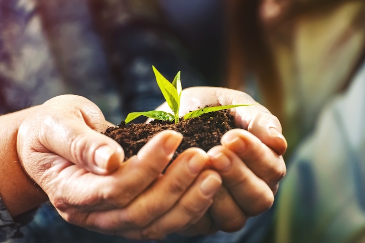 La Comunidad de Madrid promueve docenas de actividades en sus centros de educación ambiental para febrero