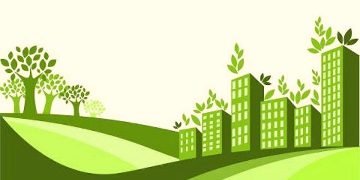 México. Los árboles urbanos pueden ayudar a un desarrollo sostenible con el apoyo de una política adecuada