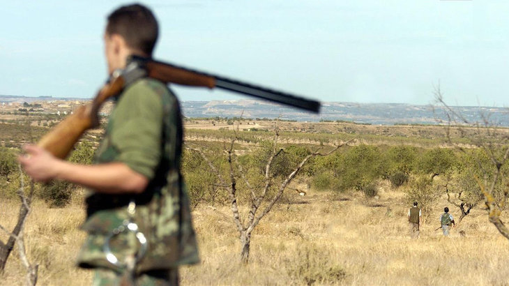 Pregunta sobre el número de armas de caza