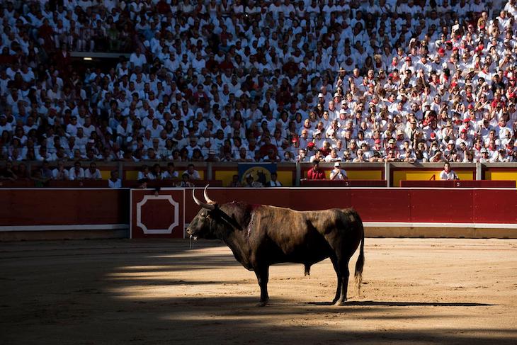 Apoyo institucional y sin fisuras de Andalucía para los festejos taurinos