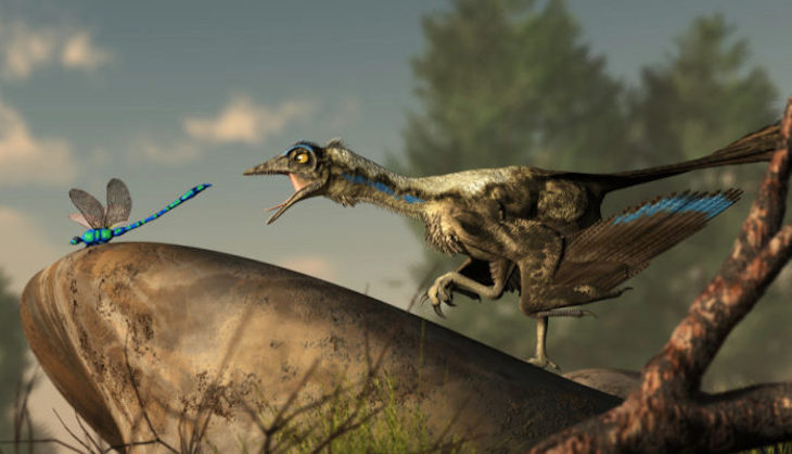 Pulgar opuesto ancestral identificado en un reptil del Jurásico