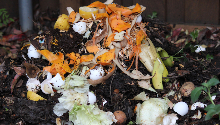 Poio (Pontevedra) se ‘apunta’ al compostaje doméstico