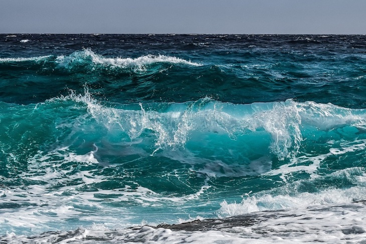Un ejército de 29.000 patitos de plástico quedaron a la deriva en el medio del océano