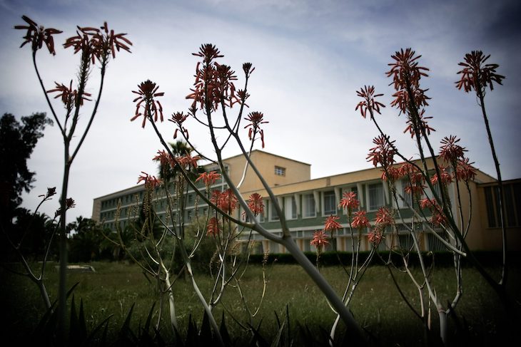 La UPO de Sevilla anima a los ciudadanos a que participen en la catalogación de la biodiversidad del campus