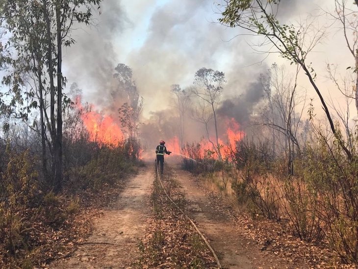 Declarado un incendio en Aljaraque (Huelva) que obliga a cortar la carretera A-497 y moviliza tres aviones