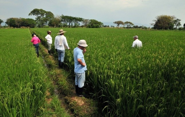 Clima extremo e intereses geopolíticos impulsan las crisis alimentarias