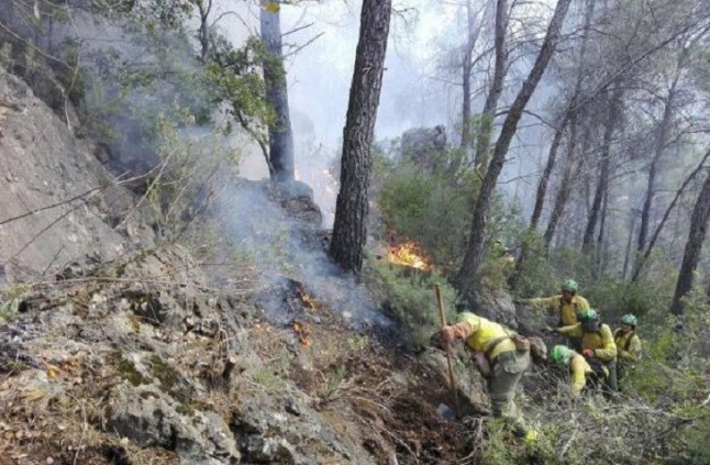 Quiénes queman el monte en la provincia de Huelva