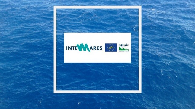 Se sientan las bases de la estrategia de gobernanza de la Red Natura 2000 marina