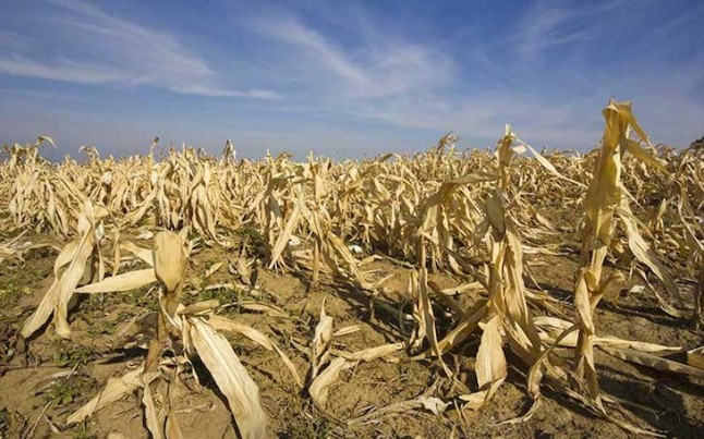 La región más poblada y agrícola de China
