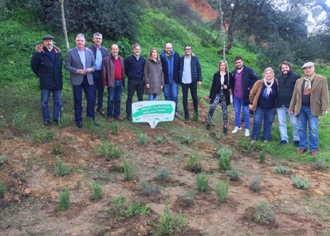 El PSOE se compromete a poner en marcha un nuevo Plan Forestal Andaluz que primará las especies autóctonas