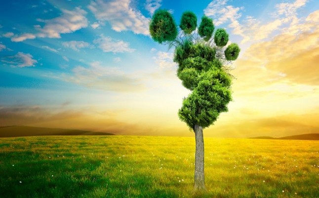 Madrid-Barajas alcanza el segundo nivel de reconocimiento en el registro de huella de carbono