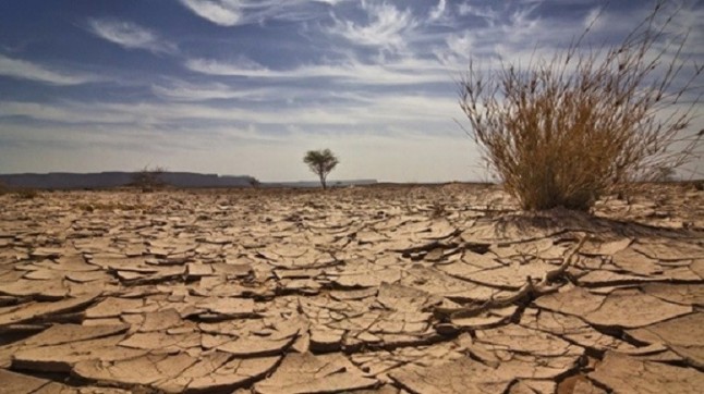 La ciudadanía debería participar el diseño y seguimiento de las políticas de clima y energía